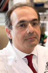 Ali G Gharavi, MD Profile Headshot